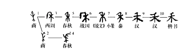 禾本科：我本来就很美_百科TA说