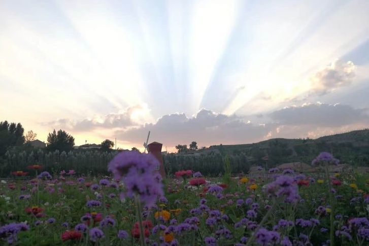  p data-id="go00krj3w7">化稍营镇,隶属于河北省张家口市阳原县,地处
