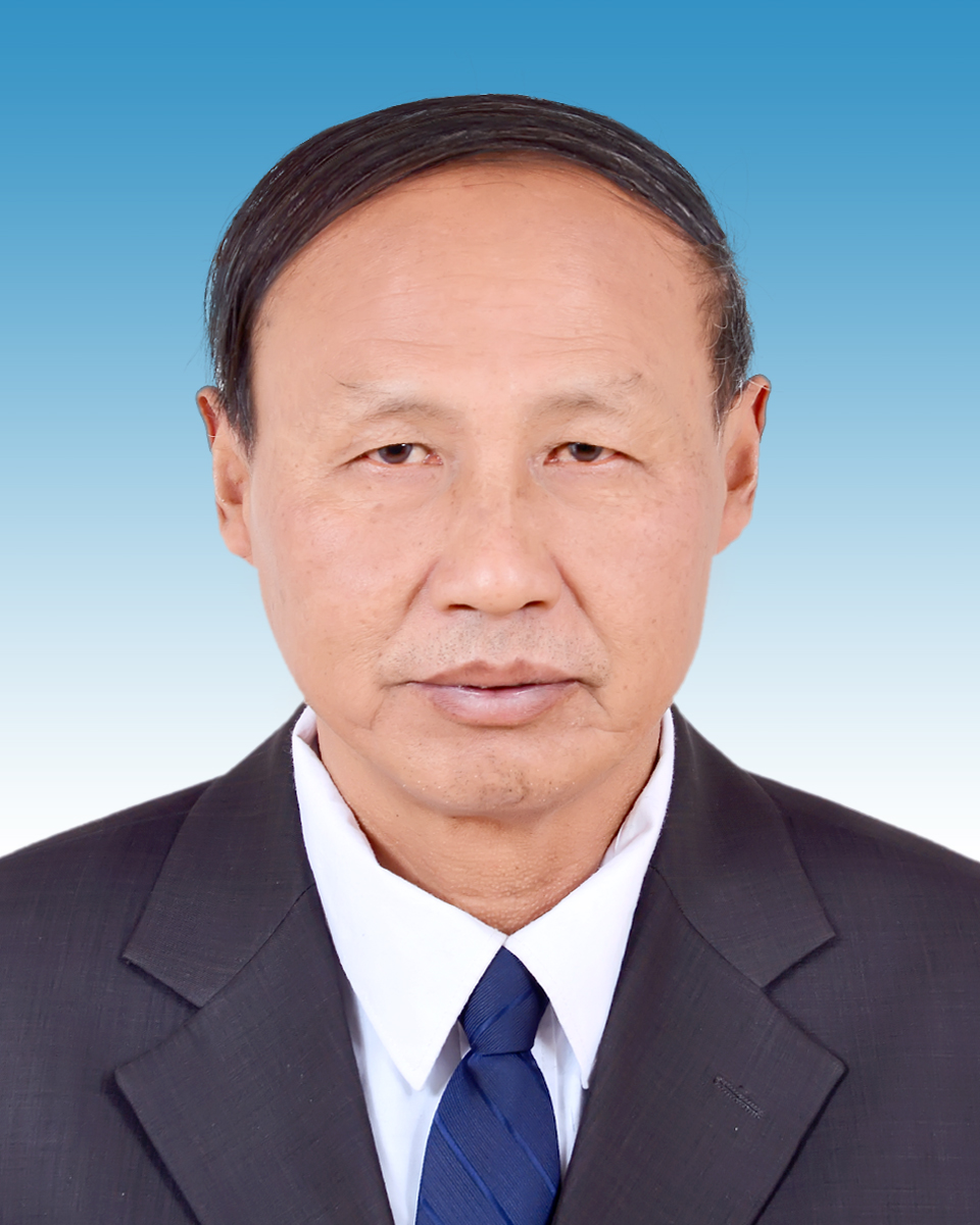  /p> p>现任湖北省随州市民防办公室党组成员,总工程师. /p>