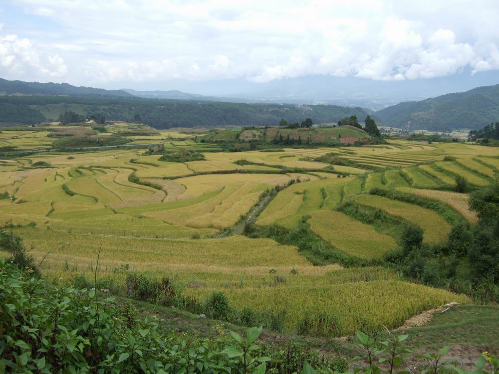 河流流速减缓,泥沙堆积形成的洪积--冲积平原