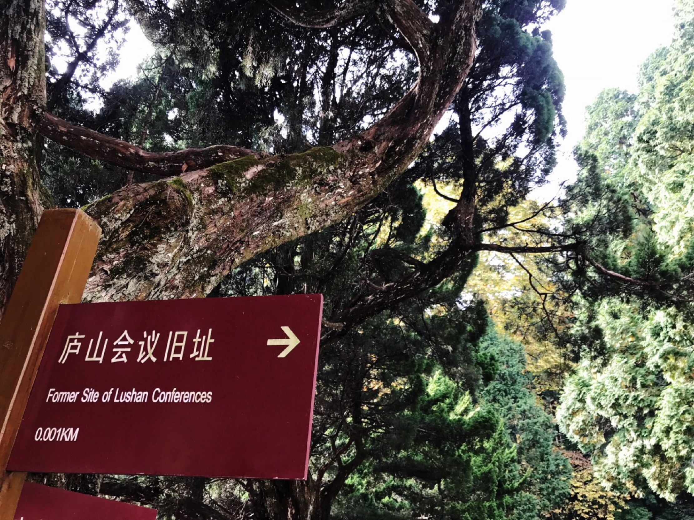  p data-id="gnx8ww1681">庐山会议旧址,位于江西省九江市庐山牯岭东