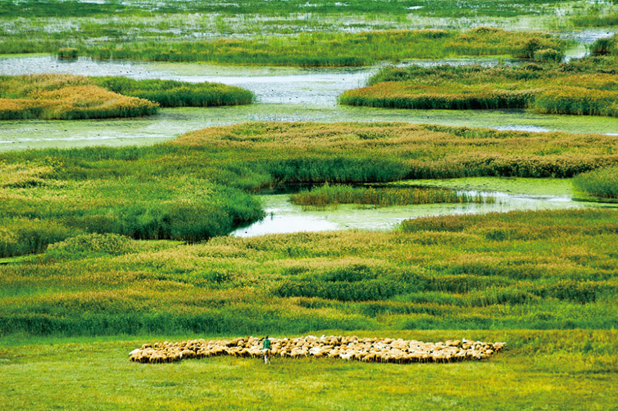 内蒙古自治区辉河国家自然保护区
