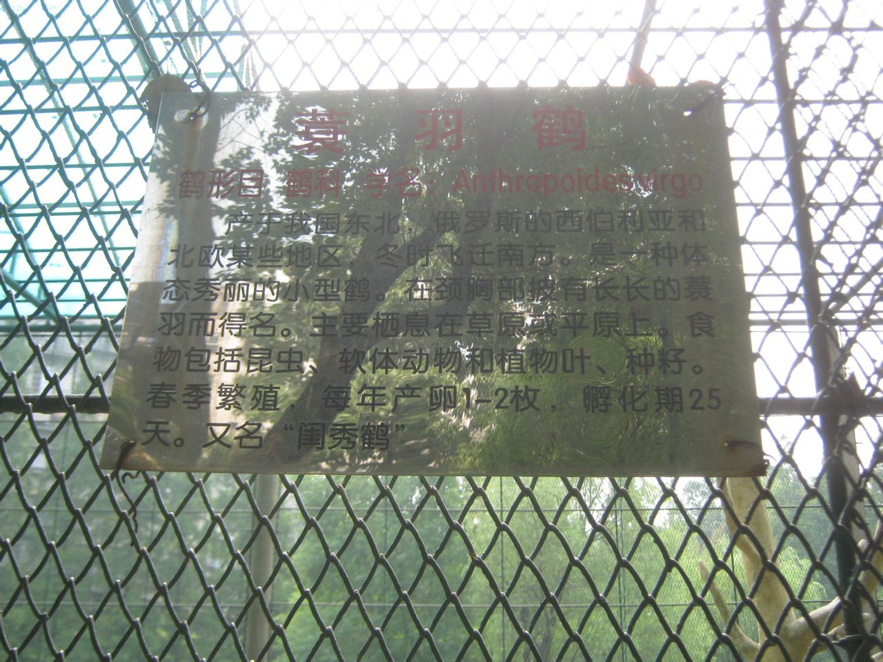  p>衡阳动物园坐落于中南重镇 a href="#" data-lemmaid="235811">