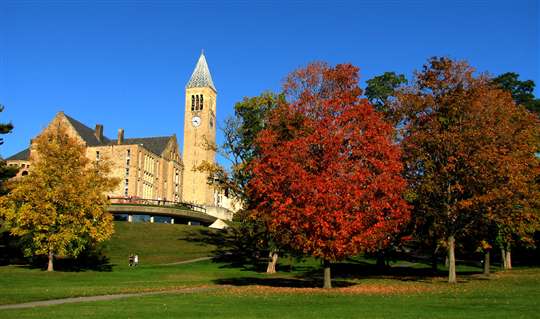 美国康乃尔大学