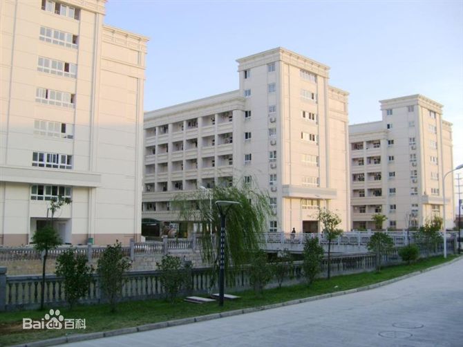 北外瑞安附校