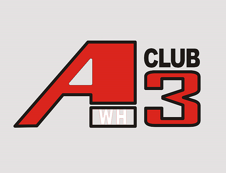 武汉奥迪a3车友会