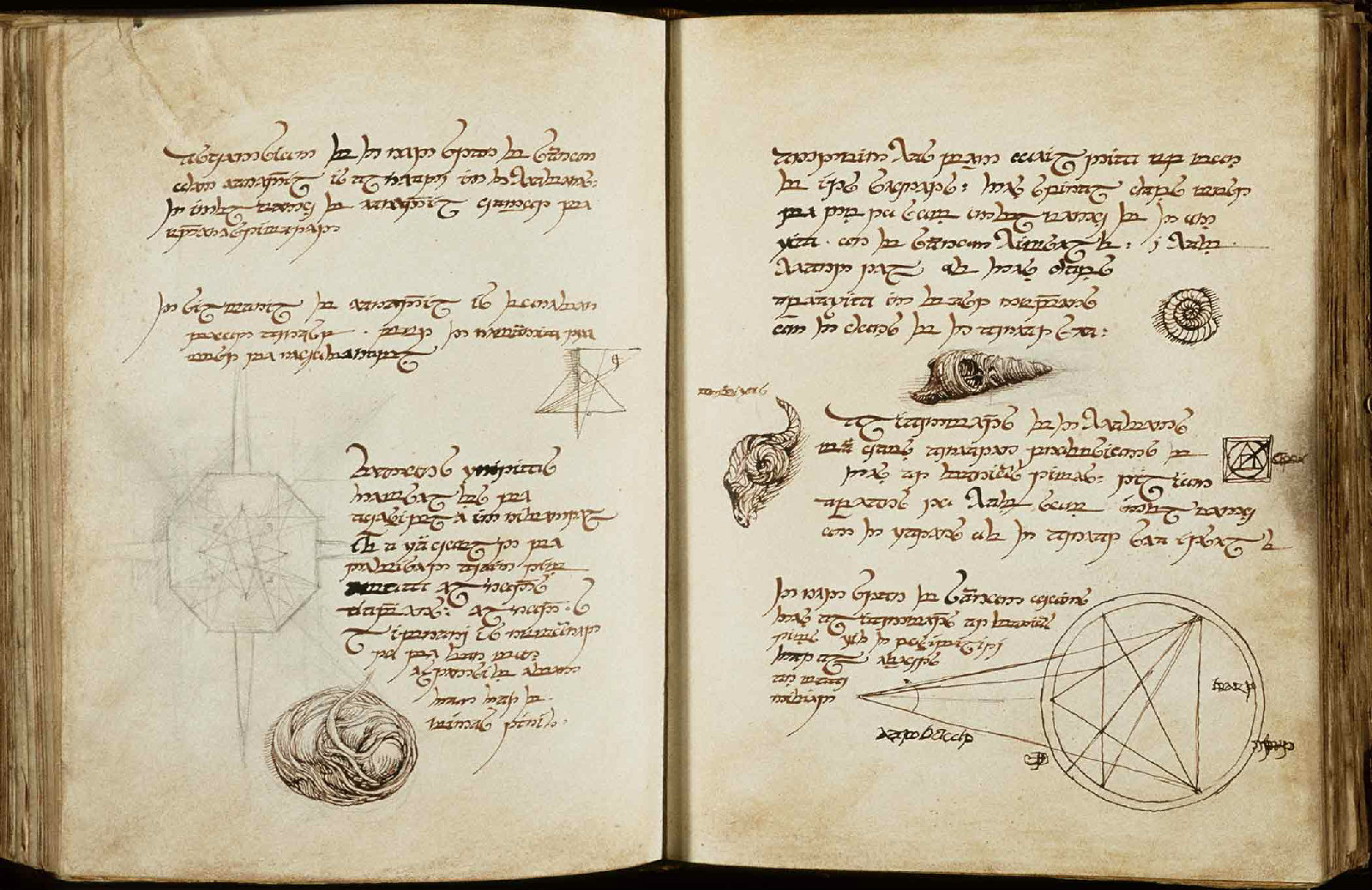 托尔金笔下的中土世界中多种语言的一种,辛达林隶属于其中的精灵语,是