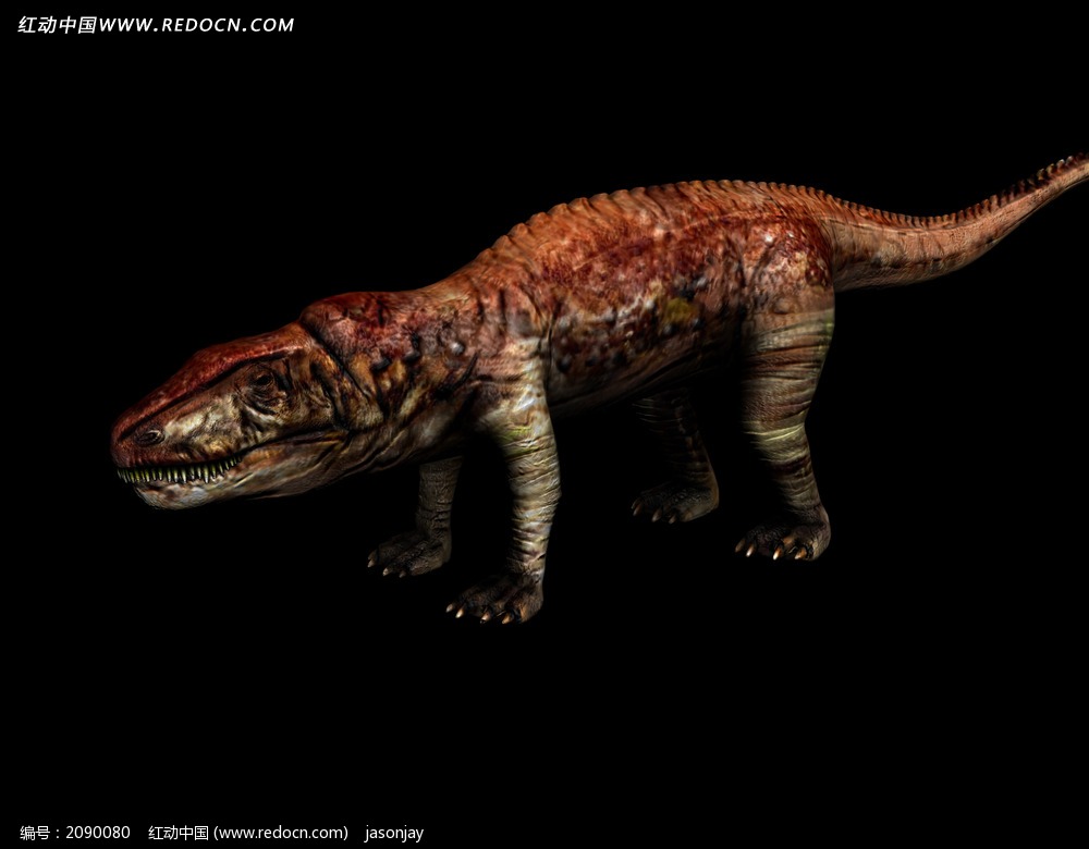 从复原图上看,波斯特鳄有些像鳄鱼和霸王龙的杂交种.