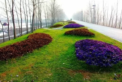  p data-id="gnwzhkt6uk">滨河新城,位于江苏省连云港市海州区,经济