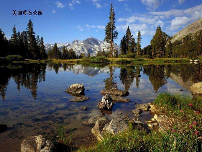 指的是 a href="#" data-lemmaid="42338">生态学 /a>中,在一个群落生