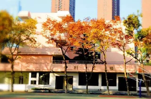 武汉市第十一中中学