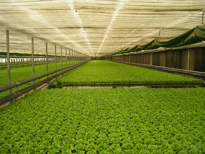 锦绣大地农业观光园区