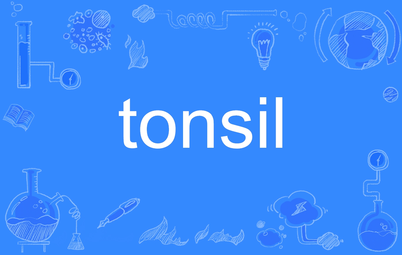 tonsil