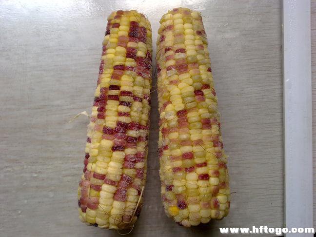 是禾本科,玉蜀黍属一年生草本植物,俗称玉米.