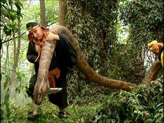  p data-id="go0o0fo1nm">蟒蛇精是《 a tar