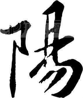 阳姓族考