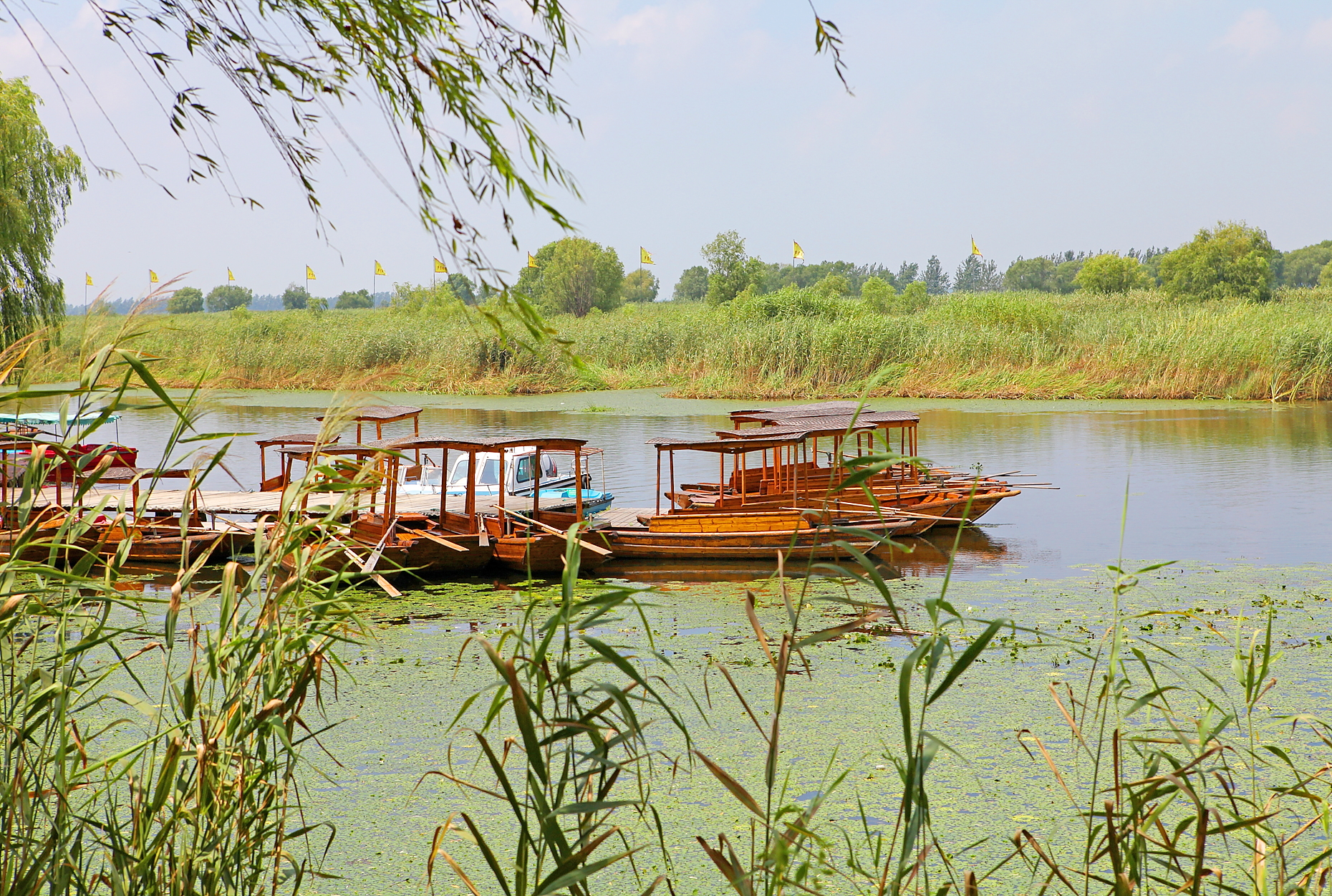 江苏盐城旅游景点大全(江苏盐城旅游景点大全排名)