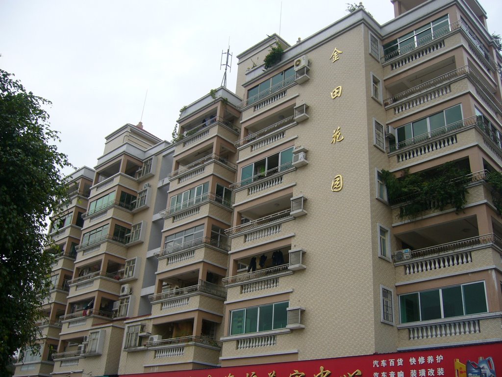 金田花园