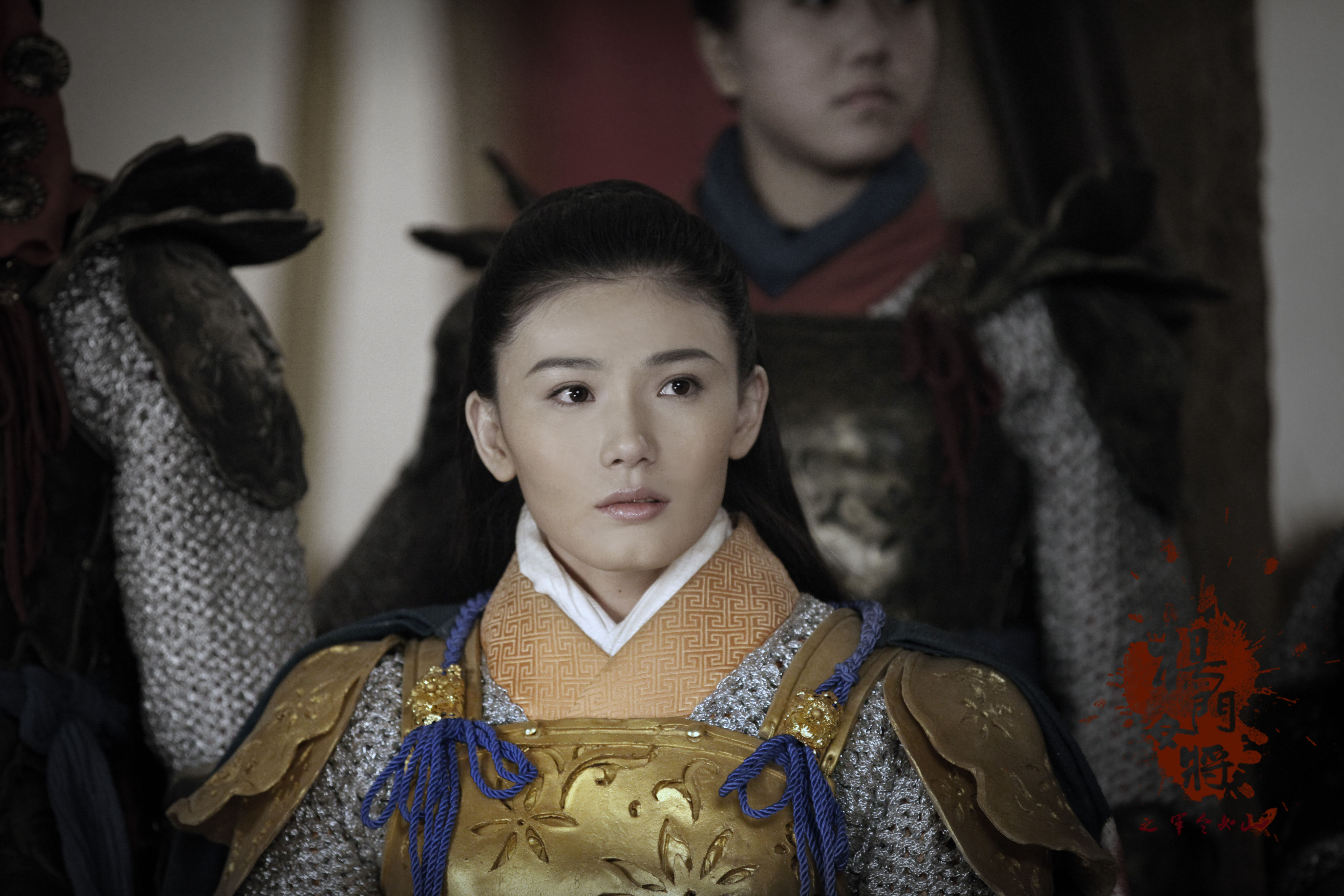 杨门女将军令如山