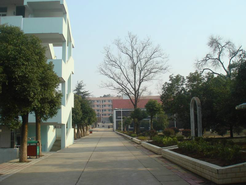  p>铜陵市第十五中学是1999年成立的一所全日制完全中学,是基础教育