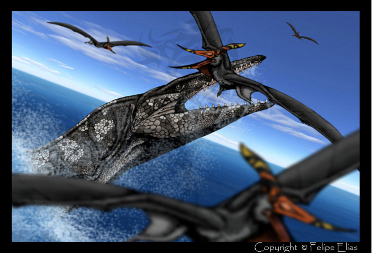  p>东方恐头龙(dinocephalosaurus orientalis )是