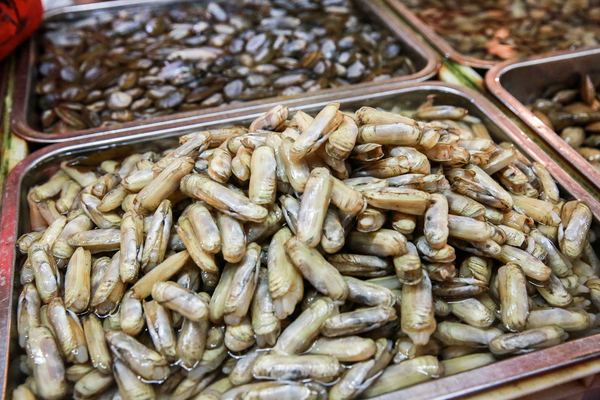  p>竹蛏【chēng】( i>solen strictu) /i>为瓣鳃纲竹蛏科的 a href="