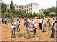 祥云县第四中学