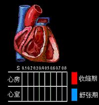  p>心动周期(cardiac cycle)指从一次 a target="_blank" href="/item