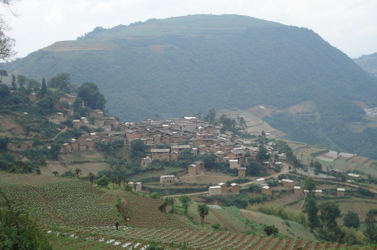 村/8274524" data-lemmaid="8274524">凤阳村 /a>隶属于青龙镇老田 a