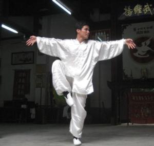 鹤拳是南拳一种