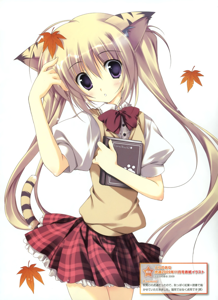 猫耳娘