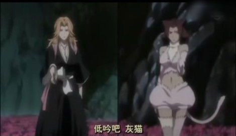 灰猫