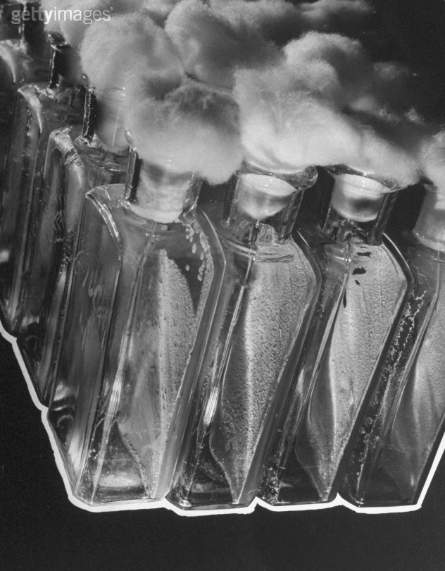  p>链霉素(streptomycin)是一种氨基糖苷类抗生素.