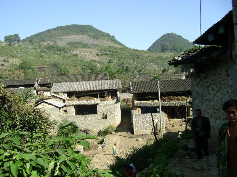  p>秧补油房村隶属于云南省文山州丘北县官寨乡秧补行政村,属于半山区
