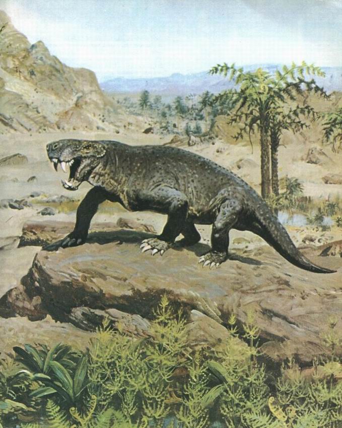  p data-id="gnvjg3miir">雷赛兽,是兽齿类丽齿兽亚目动物.