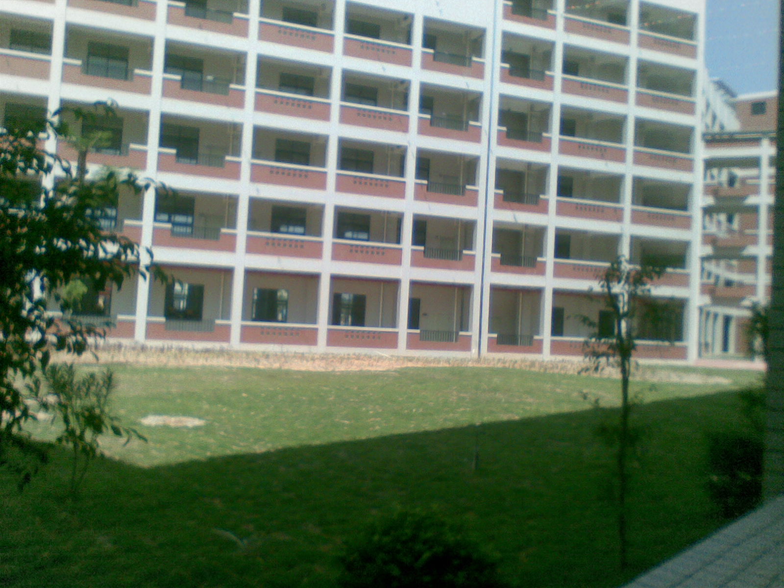 阳西县第二中学