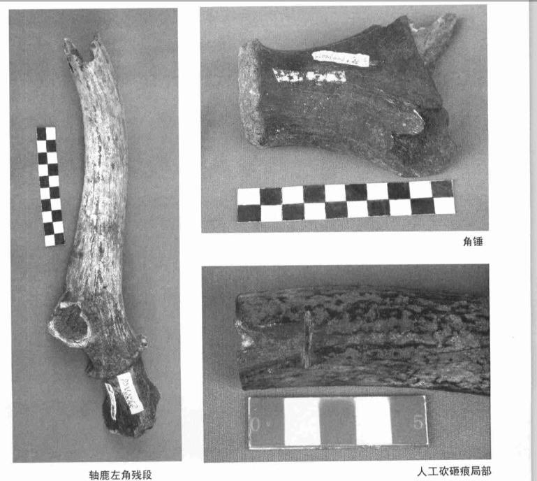  p>旧石器时代(paleolithic;距今约300万年),以使用打制石器(见 a