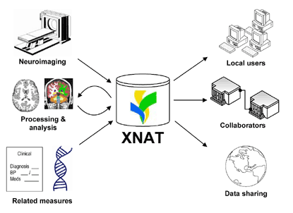 XNAT_百度百科
