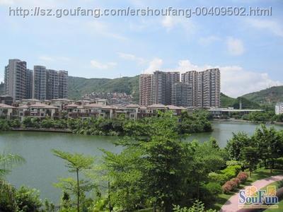 丰泽湖山庄