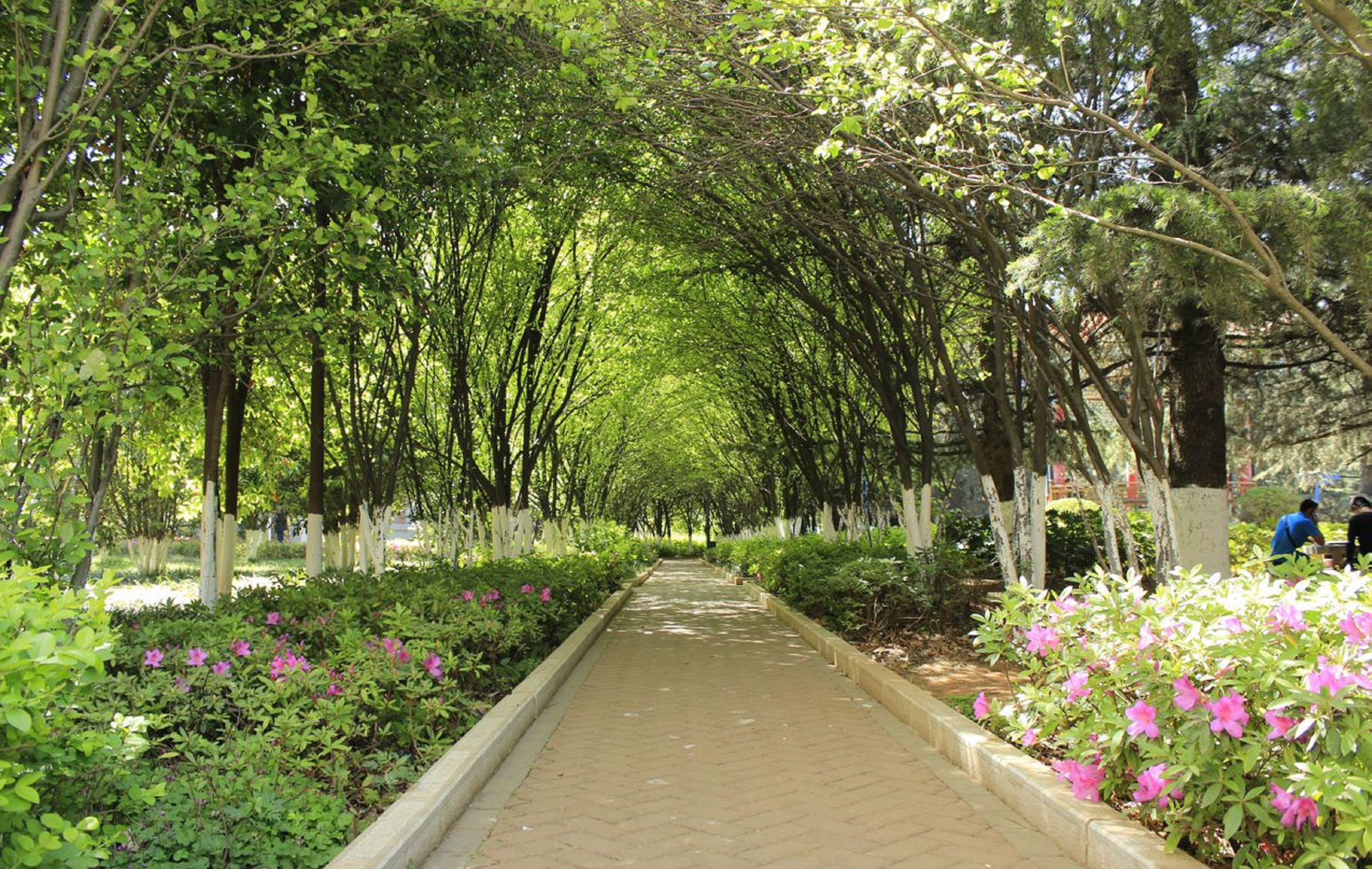 云南农业大学