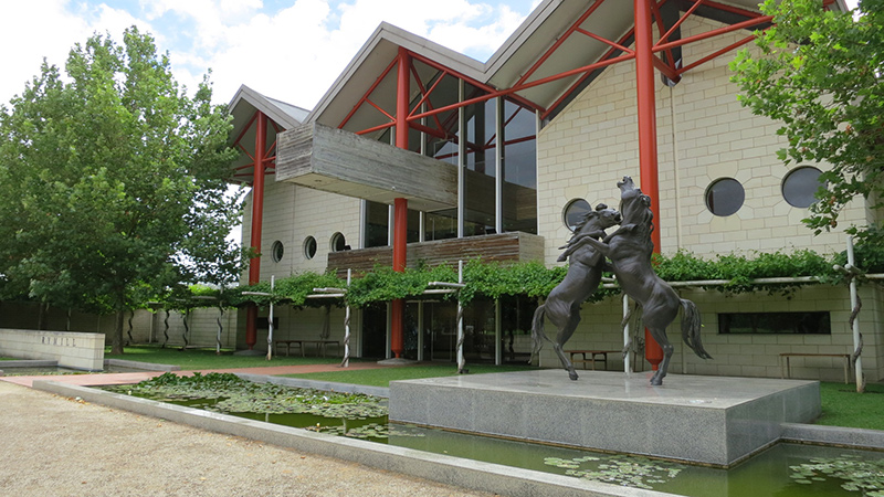  p>salience 中文名是赛乐诗,澳大利亚100%原瓶进口红酒品牌.