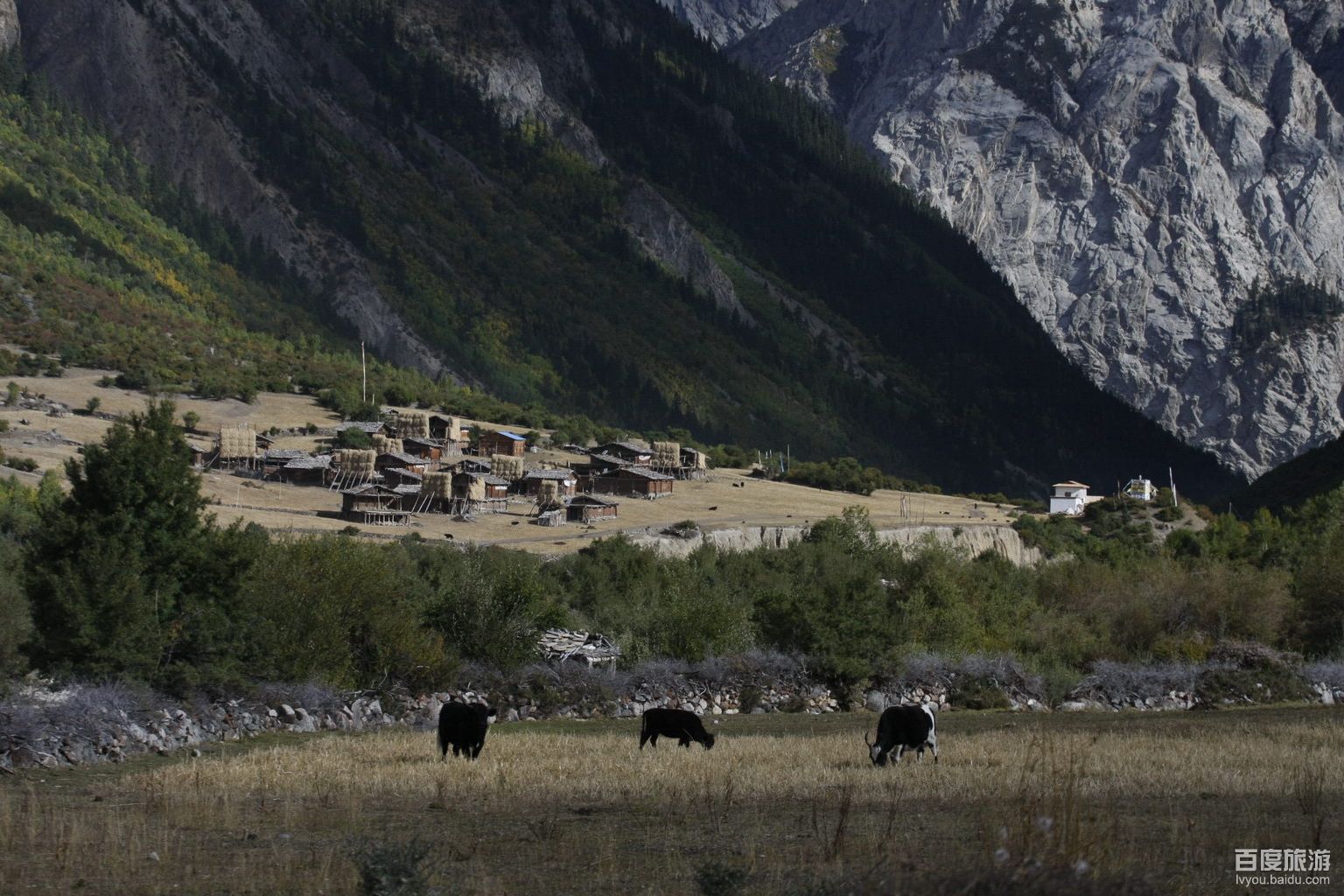  p>米堆冰川在米堆河的上游,米堆河是 a target="_blank" href="/item