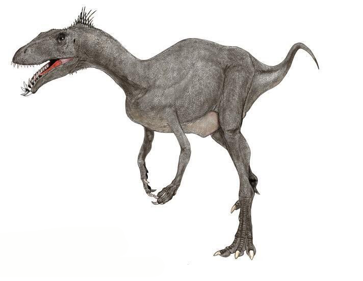  p data-id="gnbx4xhl5p">诺弗勒恶龙(masiakasaurus knopfleri) 发现