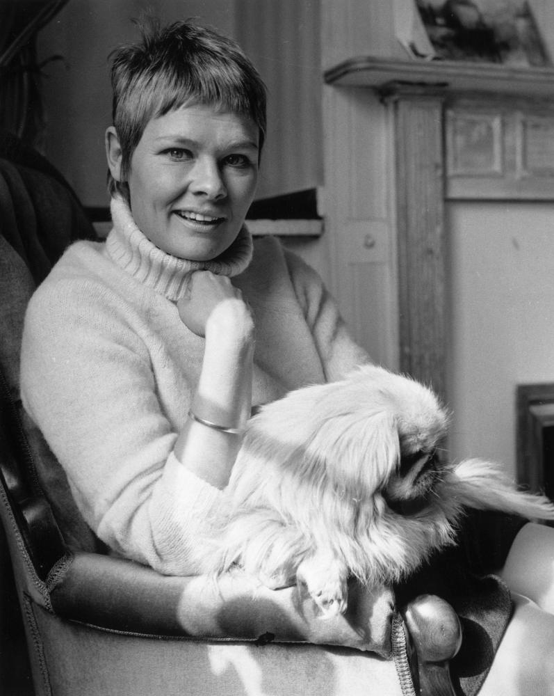 judi dench