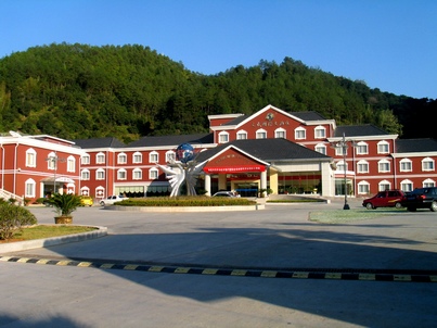 文成县国际大酒店有限公司