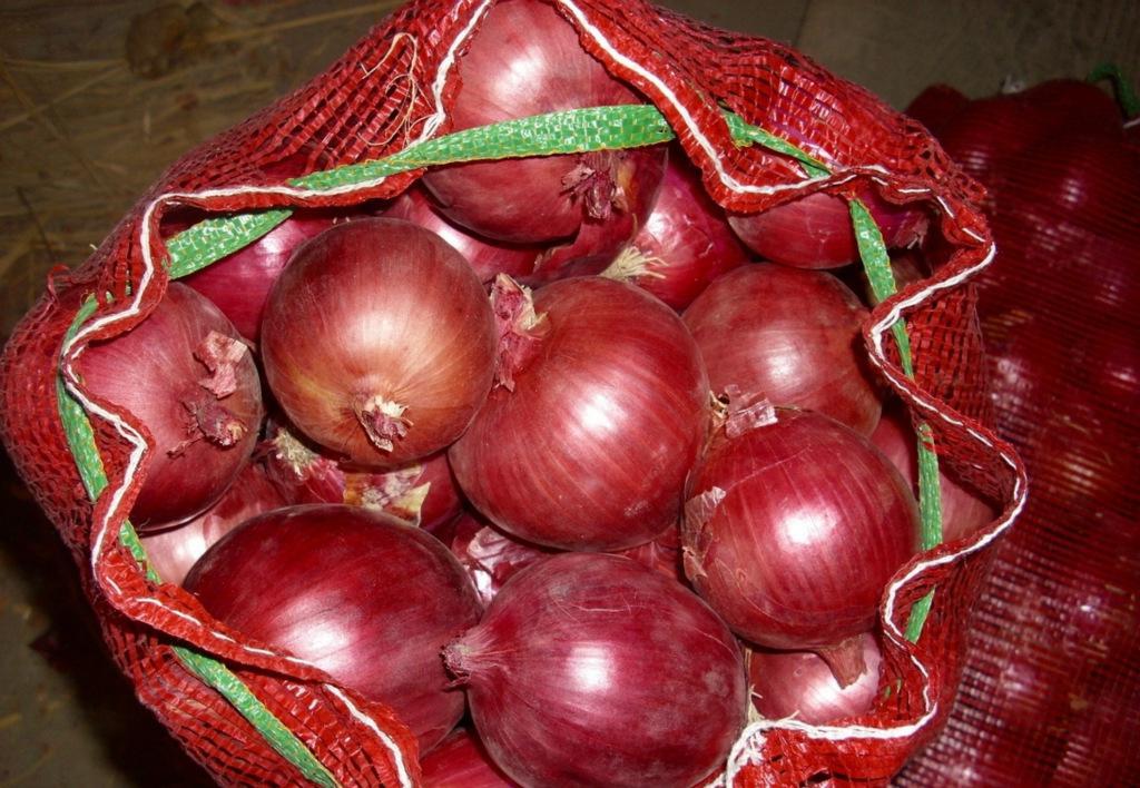 广州红皮洋葱