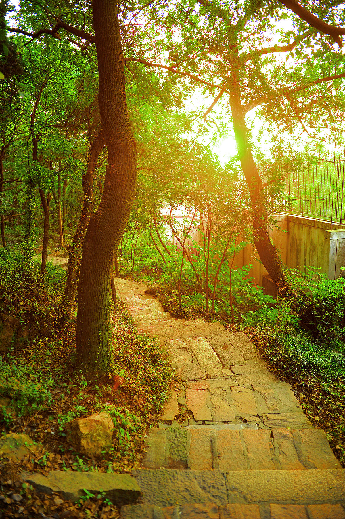 海宁东山森林公园