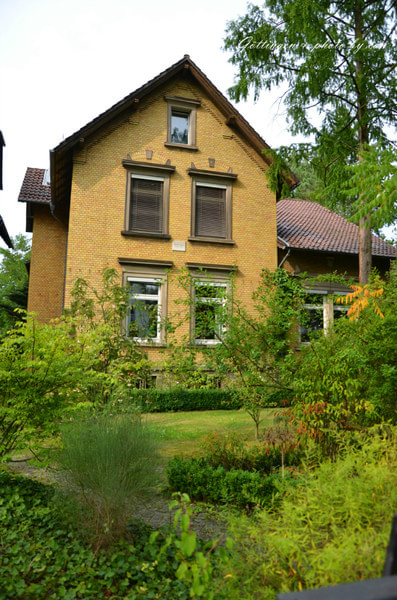 戴维•希尔伯特