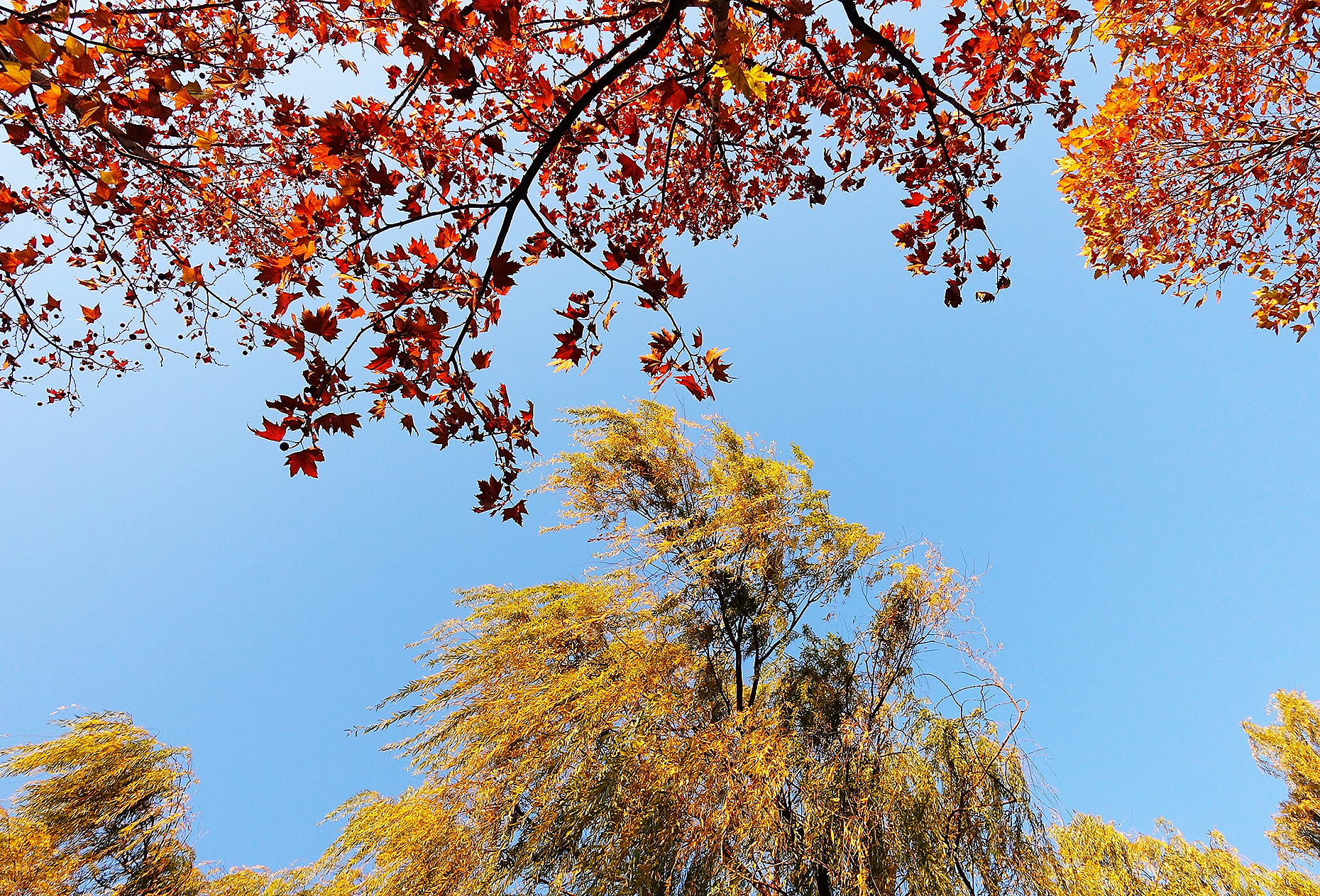  p>日月岛是大庆连环湖度假区西部一个面积约1平方公里的湖中小岛