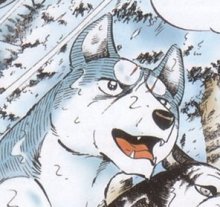 银牙传说 百度百科